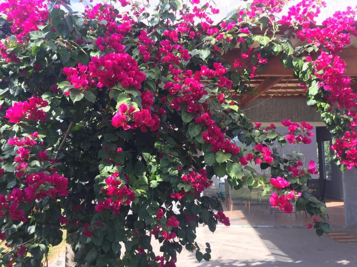 הוילה Pirenópolis Reserva Jasmim Manga מראה חיצוני תמונה
